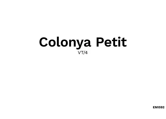 Сasa de vacaciones Colonya Petit *